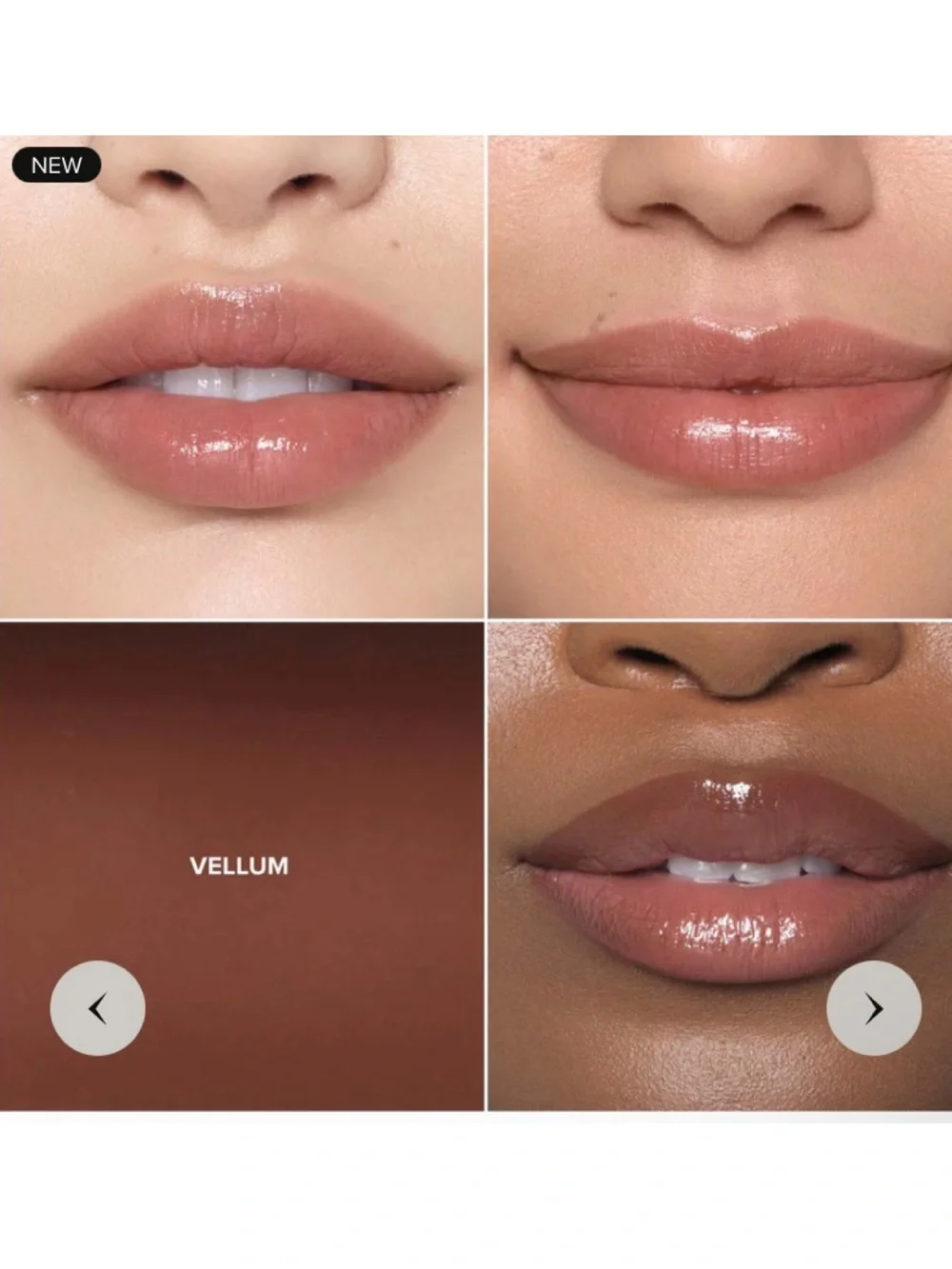 NEW✅ABH Vellum